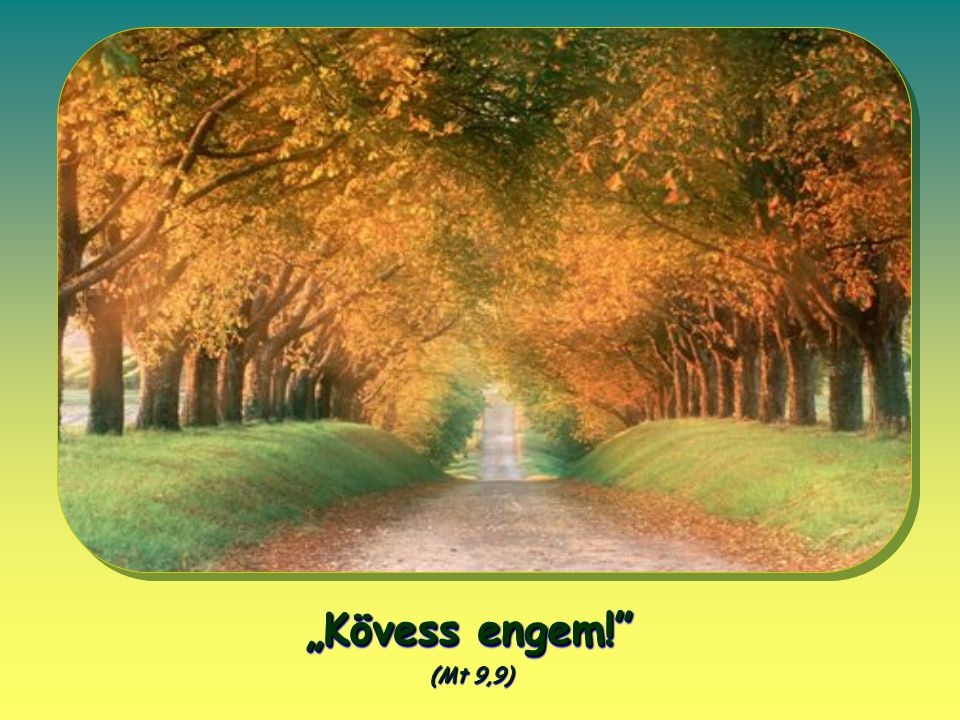 Kövess engem!